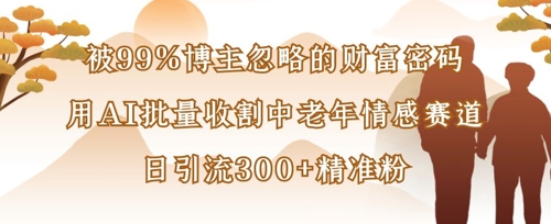 被99%博主忽略的财富密码：用AI批量收割中老年情感赛道，日引流300+精准粉-中创网_专注互联网创业,项目资源整合