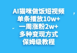 AI猫猫煮饭小视频，一条播放视频10w ，一周升分2w ，多种多样变现模式，家庭保姆级实例教程-中创网_专注互联网创业,项目资源整合