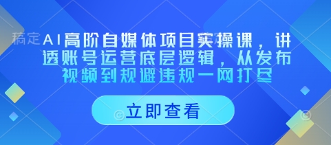 AI高阶自媒体项目实操课，讲透账号运营底层逻辑，从发布视频到规避违规一网打尽-中创网_专注互联网创业,项目资源整合