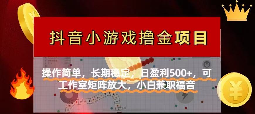 （14290期）【抖音小游戏外国投资者计划项目】使用方便，持续稳定，日赢利500 ，可工作中…-中创网_专注互联网创业,项目资源整合