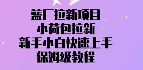 蓝厂拉新项目，小荷包引流，新手入门快速入门，家庭保姆级实例教程-中创网_专注互联网创业,项目资源整合