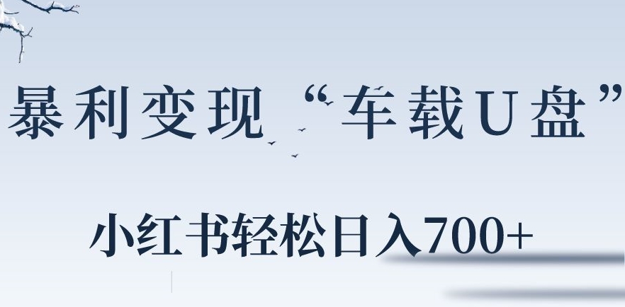 小红书“车载U盘”暴利引流，日入700+-中创网_专注互联网创业,项目资源整合