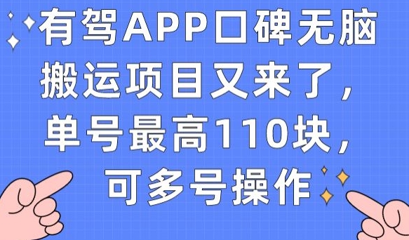 有驾APP用户评价没脑子运送新项目再次来了，运单号最大110块，可以多号实际操作-中创网_专注互联网创业,项目资源整合