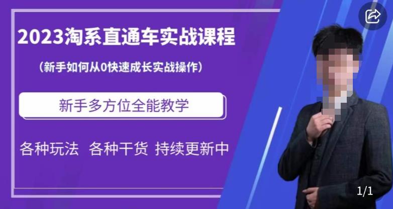 2023淘系直通车保姆式运营讲解，新手如何从0快速成长实战操作，新手多方位全能教学-中创网_专注互联网创业,项目资源整合