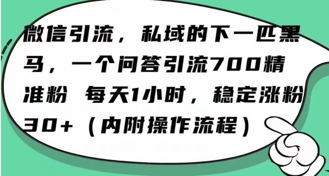 怎么搞精准创业粉？微信新赛道，每天一小时，利用Ai一个问答日引100精准粉-中创网_专注互联网创业,项目资源整合