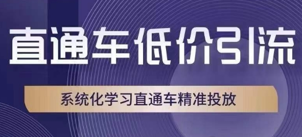 淘宝直通车低价引流课，系统性学习淘宝直通车精准推送-中创网_专注互联网创业,项目资源整合