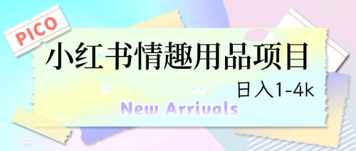 最新小红书情趣用品项目，日入1-4k-中创网_专注互联网创业,项目资源整合