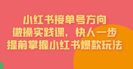 接单号方向·小红书微操实践课，快人一步，提前掌握小红书爆款玩法-中创网_专注互联网创业,项目资源整合