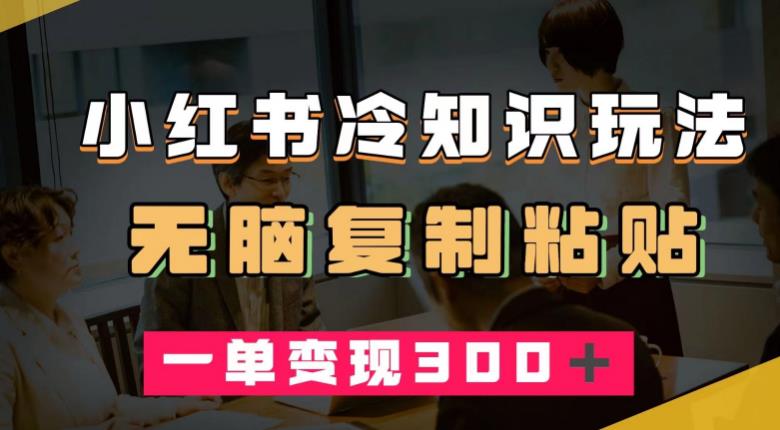 小红书冷知识玩法，无脑复制粘贴，一单变现300＋-中创网_专注互联网创业,项目资源整合