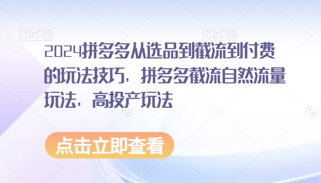 2024拼多多从选品到截流到付费的玩法技巧，拼多多截流自然流量玩法，高投产玩法-中创网_专注互联网创业,项目资源整合