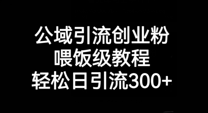 公域流量引流方法自主创业粉，喂食级实例教程，轻轻松松日引流方法300 【揭密】-中创网_专注互联网创业,项目资源整合