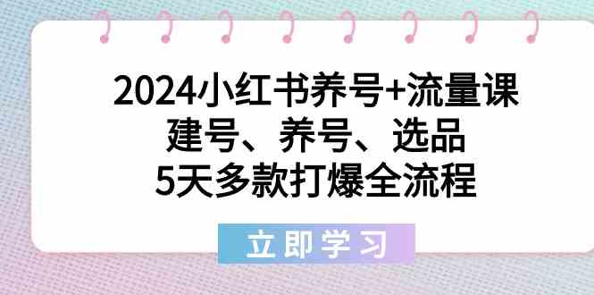 2024小红书的起号 总流量课：创号、起号、选款，5天几款打穿全过程-中创网_专注互联网创业,项目资源整合