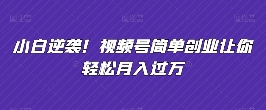 小白逆袭！视频号简单创业让你轻松月入过万-中创网_专注互联网创业,项目资源整合