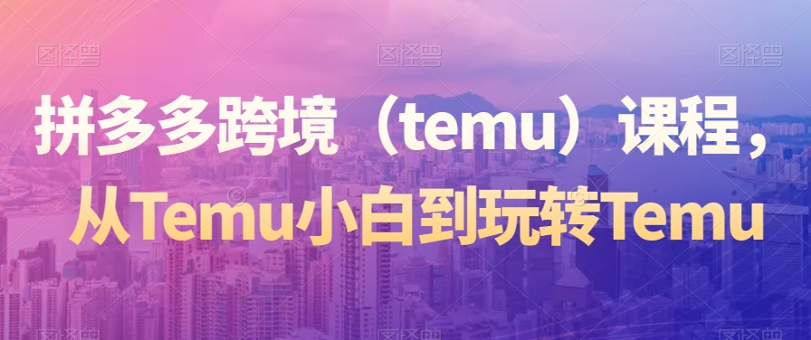 拼多多跨境（temu）课程，从Temu小白到玩转Temu-中创网_专注互联网创业,项目资源整合