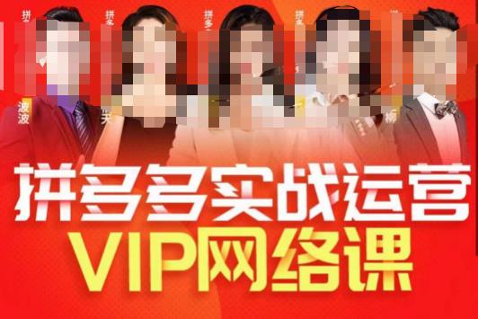 推易拼多多VIP全套网络课程，拼多多卖家操作过程游戏的玩法 实战模拟游戏的玩法选款武功心法 直通车推广高端等-中创网_专注互联网创业,项目资源整合