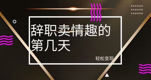 冷门赛道，辞职卖情趣的第几天，超暴力项目-中创网_专注互联网创业,项目资源整合