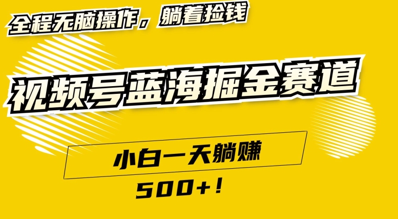 视频号蓝海小众赛道，小白一天躺赚500+，全程无脑操作，保姆式教学-中创网_专注互联网创业,项目资源整合