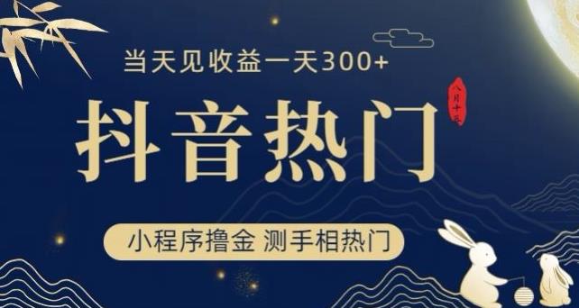 抖音最新小程序撸金，测手掌纹抖音上热门，当日见赢利一小时变现300 【揭秘】-中创网_专注互联网创业,项目资源整合