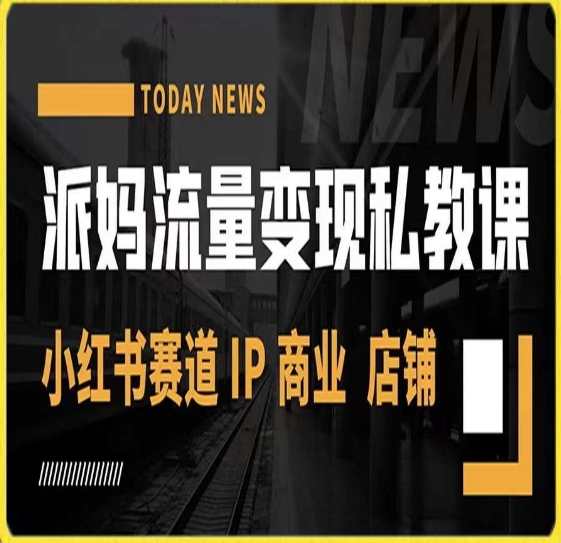 派妈流量变现私教课，小红书赛道IP  商业  店铺 -暖阳网-优质付费教程和创业项目大全-中创网_专注互联网创业,项目资源整合