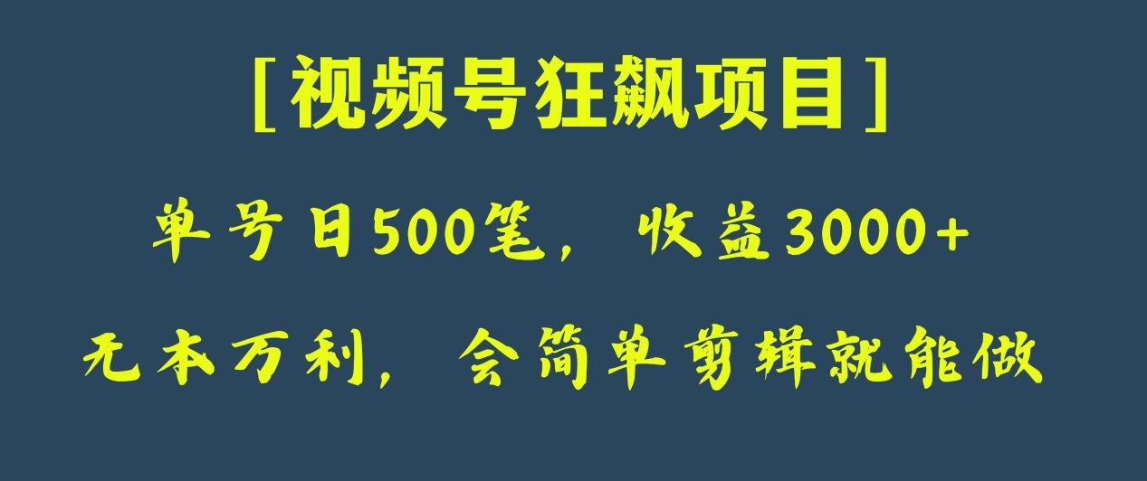 日收付款500笔，净利润3000 ，微信视频号狂飚新项目！-暖阳网-优质付费教程和创业项目大全-中创网_专注互联网创业,项目资源整合