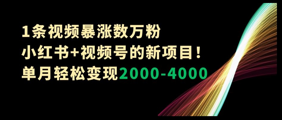 1条视频暴涨数万粉–小红书+视频号的新项目！单月轻松变现2000-4000【揭秘】-中创网_专注互联网创业,项目资源整合