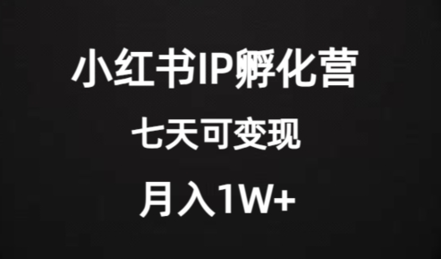 使用价值2000 的小红书IP卵化营新项目，超大瀚海，七天即可进行转现，平稳月入1W-中创网_专注互联网创业,项目资源整合
