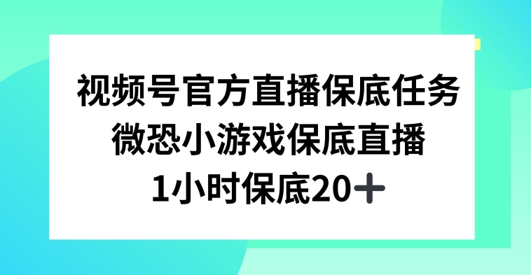 视频号直播任务，微恐小游戏，1小时20+【揭秘】-中创网_专注互联网创业,项目资源整合