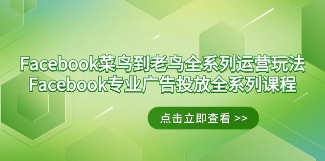 （9065期）Facebook-小白到老手系列产品经营游戏玩法 Facebook-技术专业广告营销全主题课程-中创网_专注互联网创业,项目资源整合