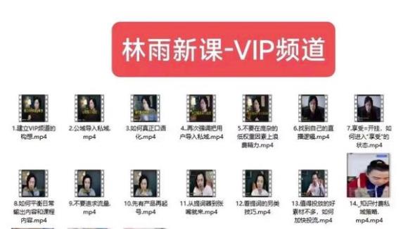 林雨新课VIP频道，玩赚私域/朋友圈/社群-中创网_专注互联网创业,项目资源整合