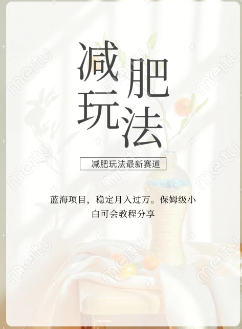 减肥流量主新玩法，轻松月入1W，可矩阵操作收入翻倍-中创网_专注互联网创业,项目资源整合