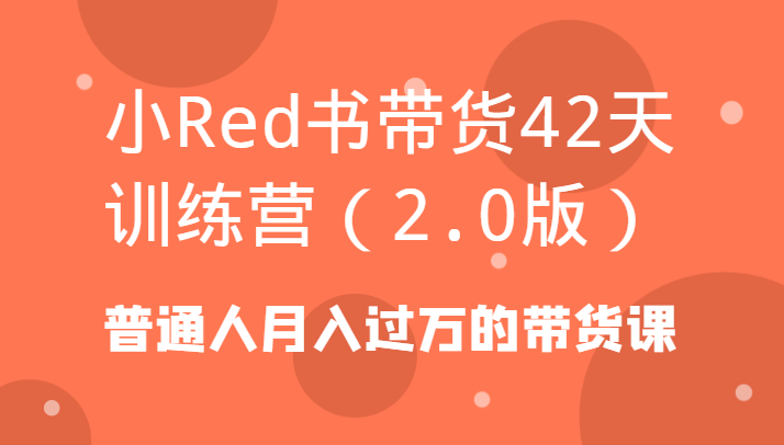 小Red书卖货42天夏令营（2.0版）平常人月入上万的卖货课-中创网_专注互联网创业,项目资源整合