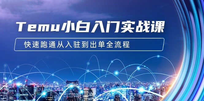 （9295期）Temu小白入门实战课：跨境拼多多电商培训 快速跑通从入驻到出单全流程-12节-中创网_专注互联网创业,项目资源整合