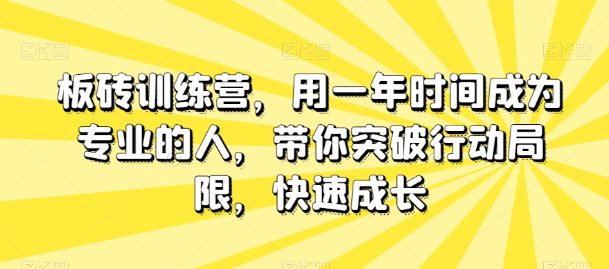 砖头夏令营，用一年时间变成专业人，陪你突破行动局限性，快速增长-暖阳网-优质付费教程和创业项目大全-中创网_专注互联网创业,项目资源整合