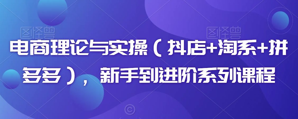电商理论与实操（抖店+淘系+拼多多），新手到进阶系列课程-中创网_专注互联网创业,项目资源整合