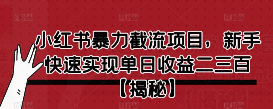 小红书暴力截流项目，新手快速实现单日收益二三百【仅揭秘】-中创网_专注互联网创业,项目资源整合