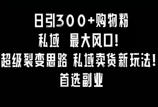 日引300+购物粉，超级裂变思路，私域卖货新玩法，小红书首选副业【揭秘】-中创网_专注互联网创业,项目资源整合