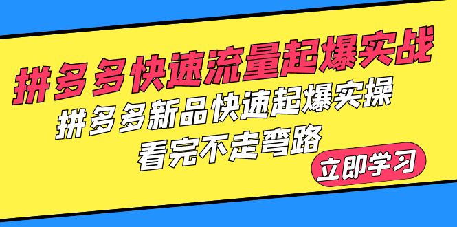 拼多多-快速流量起爆实战，拼多多新品快速起爆实操，看完不走弯路-中创网_专注互联网创业,项目资源整合