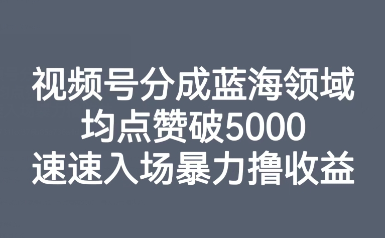 微信视频号分为蓝海领域，均关注点赞破5000，快速进场暴力行为撸盈利-中创网_专注互联网创业,项目资源整合