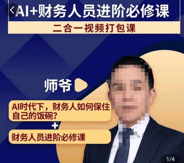 AI 财务人员进阶必修课二合一小视频装袋课，财务人员进阶必修课-中创网_专注互联网创业,项目资源整合