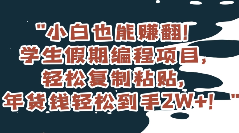 小白也能赚翻！学生假期编程项目，轻松复制粘贴，年货钱轻松到手2W+【揭秘】-中创网_专注互联网创业,项目资源整合