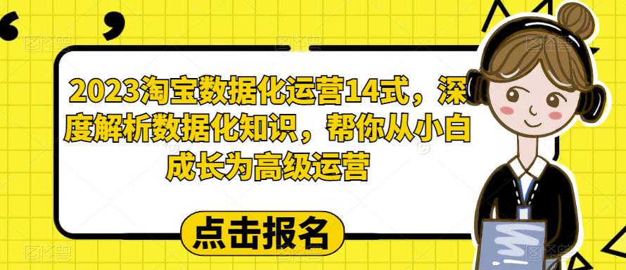 2023淘宝数据化-运营 14式，深度解析数据化知识，帮你从小白成长为高级运营-中创网_专注互联网创业,项目资源整合