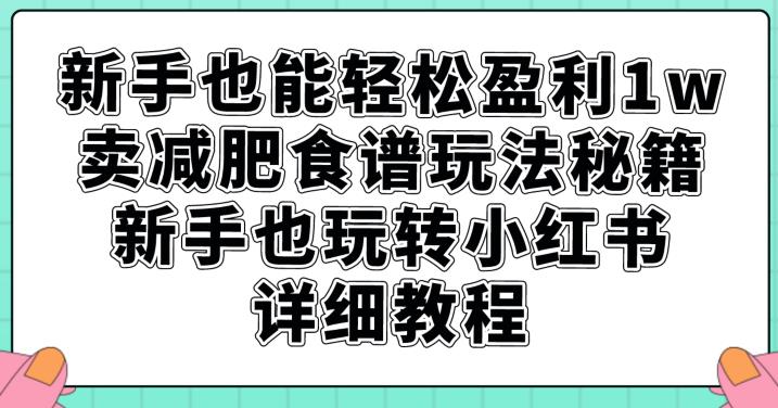 初学者都可以轻松赢利1w，卖瘦身食谱游戏玩法秘笈，初学者也轻松玩小红书的详尽实例教程【揭密】-中创网_专注互联网创业,项目资源整合