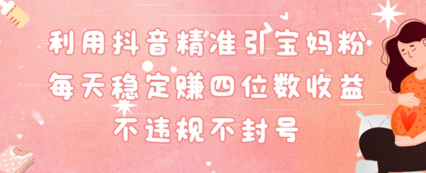 抖音精准引流宝妈粉每天变现四位数利润不违规不封号-中创网_专注互联网创业,项目资源整合