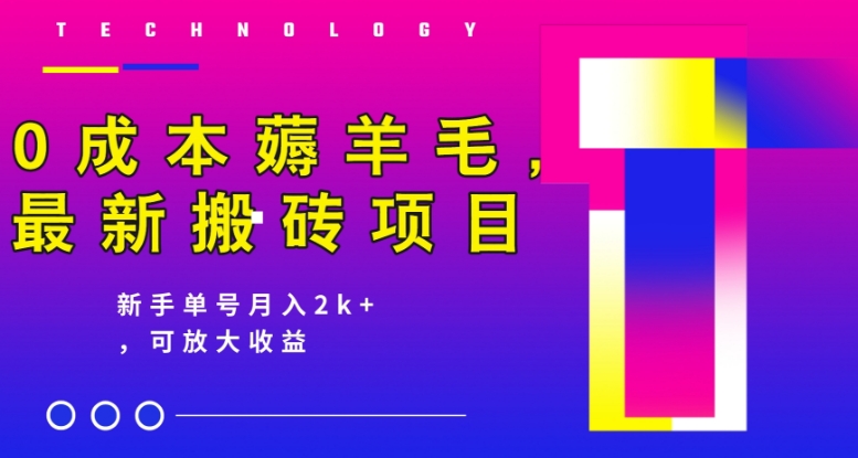 0成本费撸羊毛，全新搬砖项目，初学者运单号月入2k ，可变大实际操作-中创网_专注互联网创业,项目资源整合