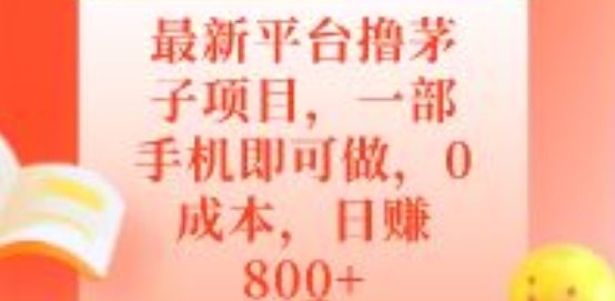 全新服务平台撸茅子新项目，一部手机就可以做，0成本费，日赚800-中创网_专注互联网创业,项目资源整合