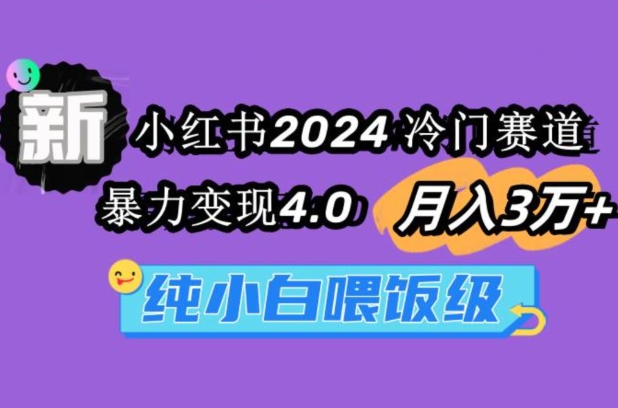 小红书2024冷门赛道一个月3万+暴力变现4.0纯小白喂饭级-中创网_专注互联网创业,项目资源整合