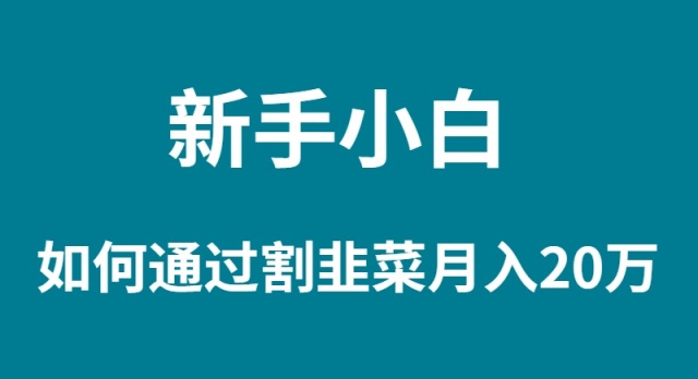 （9308期）新手入门怎样通过当韭菜割月入 20W-中创网_专注互联网创业,项目资源整合