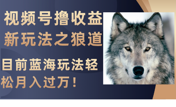 （8042期）微信视频号撸盈利新模式之狼性法则，现阶段瀚海游戏玩法轻轻松松月入了万！-暖阳网-优质付费教程和创业项目大全-中创网_专注互联网创业,项目资源整合