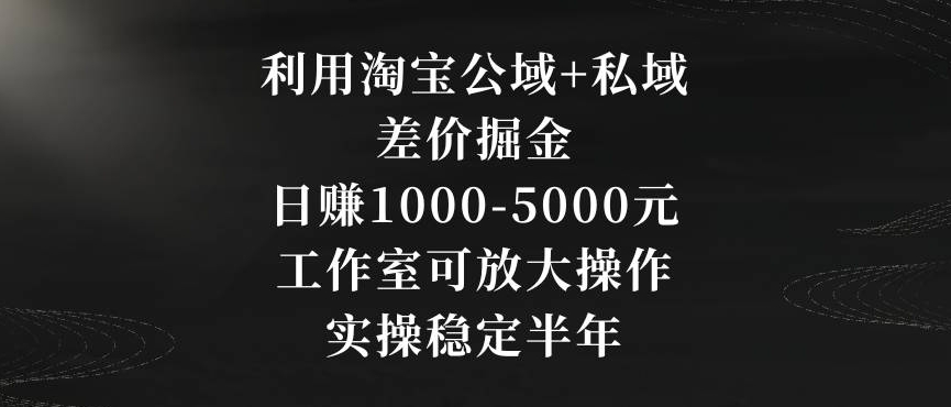 利用淘宝公域+私域差价掘金，日赚1000-5000元，工作室可放大操作，实操稳定半年【揭秘】-中创网_专注互联网创业,项目资源整合