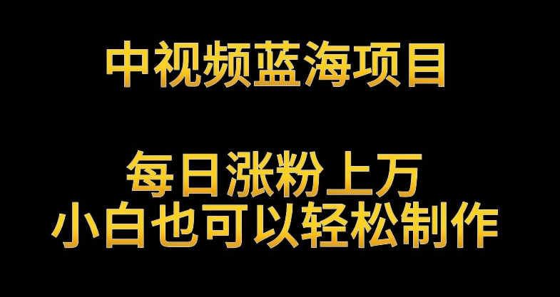 中视频蓝海项目，解读英雄人物生平，每日涨粉上万，小白也可以轻松制作，月入过万不是梦【揭秘】-中创网_专注互联网创业,项目资源整合